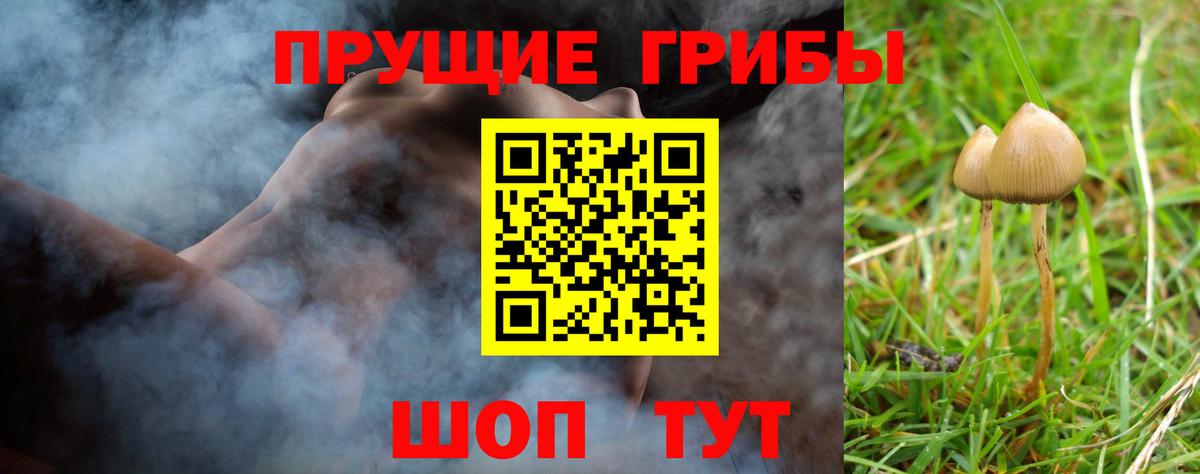 Жуковский  Галлюциногенные грибы Magic Shrooms  Вход с VPN 